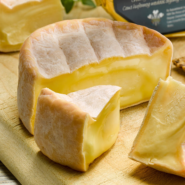 Caws Cenarth Golden Cenarth Cheese