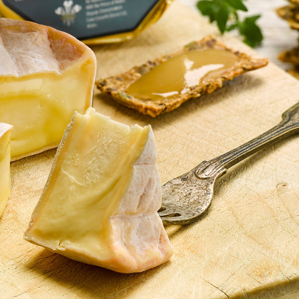 Caws Cenarth Golden Cenarth Cheese